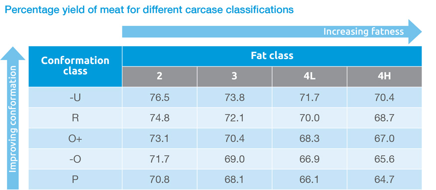 Percentage yield of meat for different carcase classifications table
